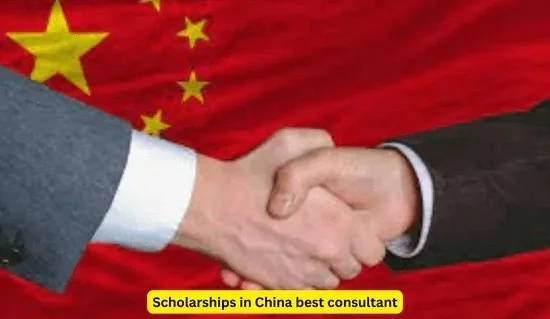 Scholarships in China best consultant