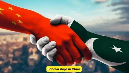 scholarships in China universities page